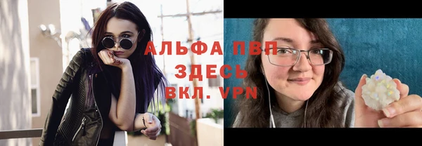 хмурый Дмитров