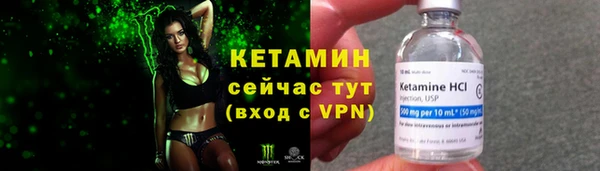 хмурый Дмитров
