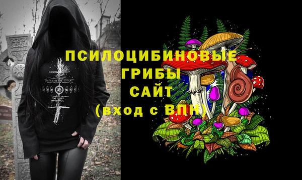 MDMA Premium VHQ Дмитриев