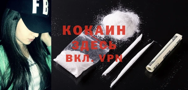 хмурый Дмитров