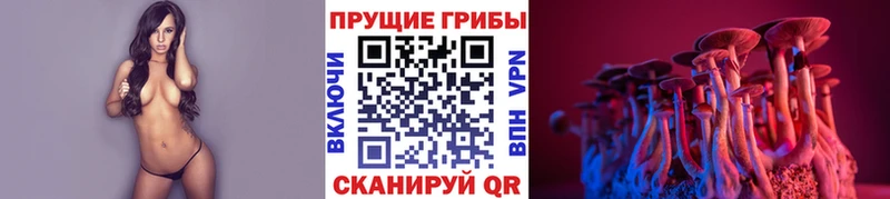 Купить где  Киселёвск  Псилоцибиновые грибы ЛСД 