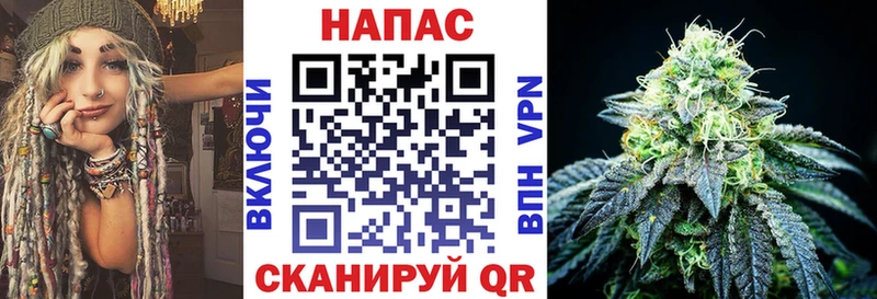 Купить закладки  Киселёвск  Конопля Amnesia 